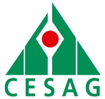 Centre Africain d’Études Supérieures en Gestion (CESAG)