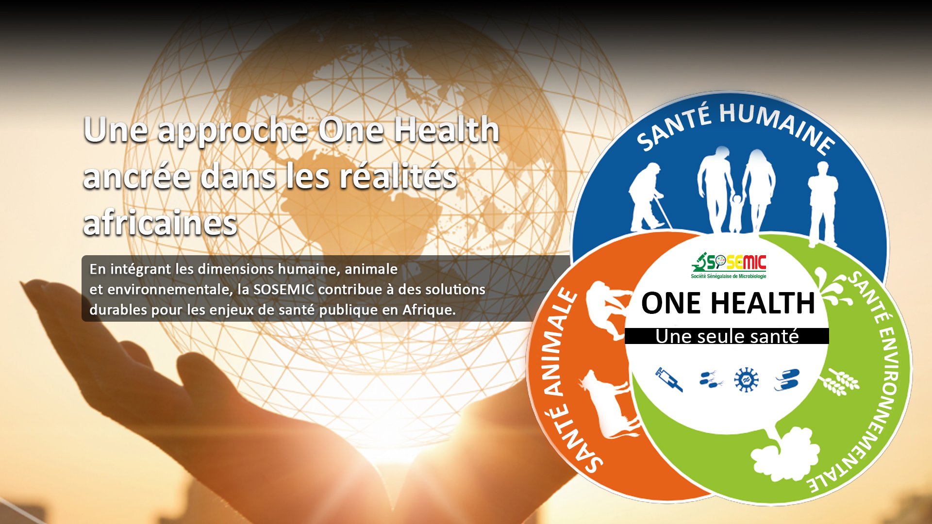 SOSEMIC - Microbiologie et One Health : un seul monde, une seule santé